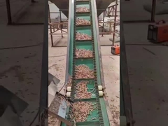 L'anneau 50HZ meurent granule vertical en bois de la machine 3 de granule faisant la machine 450-700mm