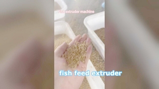 Extrudeuse d'aliments pour poissons par voie humide