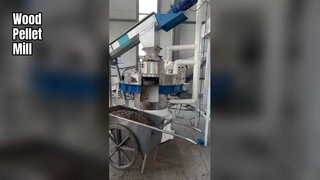 Moulin à granulés de bois à filière annulaire à haute efficacité