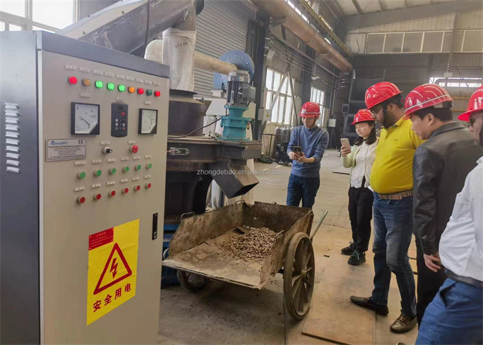 L'anneau vertical de capacité élevée meurent sciure de machine de granule de biomasse traitant la machine en bois de granule avec du CE
