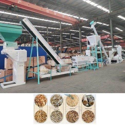 Ligne de pelletisation de biomasse avec la biomasse finale de granule de 2-10mm/chaîne de production en bois de granule équipement industriel de granule