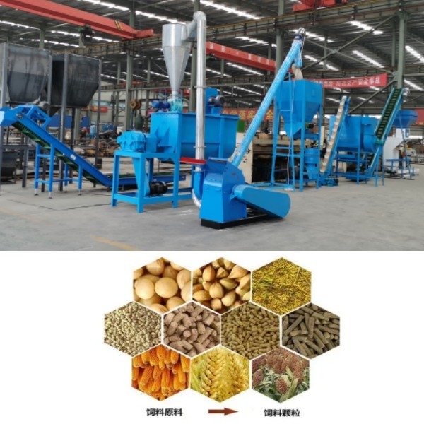 Chaîne de production de pelletiseur de moulin de granule de repas de volaille de moutons de boeuf de poulet chaîne de production de granule d'alimentation