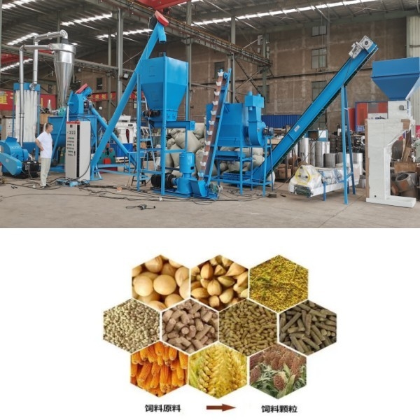 Chaîne de production de pelletiseur de moulin de granule de repas de volaille de moutons de boeuf de poulet chaîne de production de granule d'alimentation