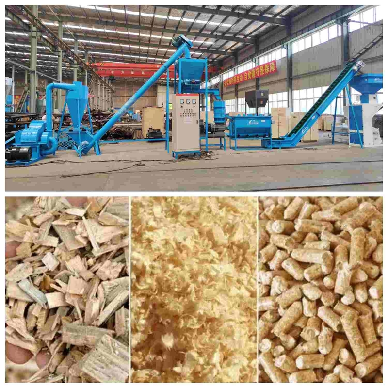 Chaîne de production en bois de granule de sciure complète de la biomasse 1~5T/H pour le chauffage