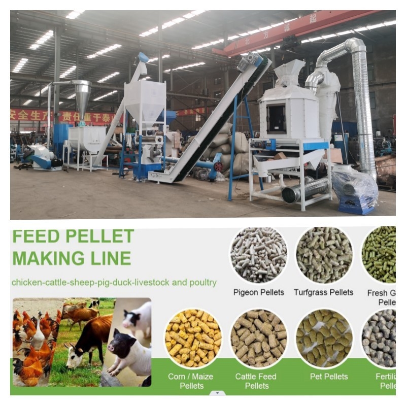 1-12mm complètement automatiques 2 tonnes alimentent la chaîne de production de granule avec le certificat de la CE