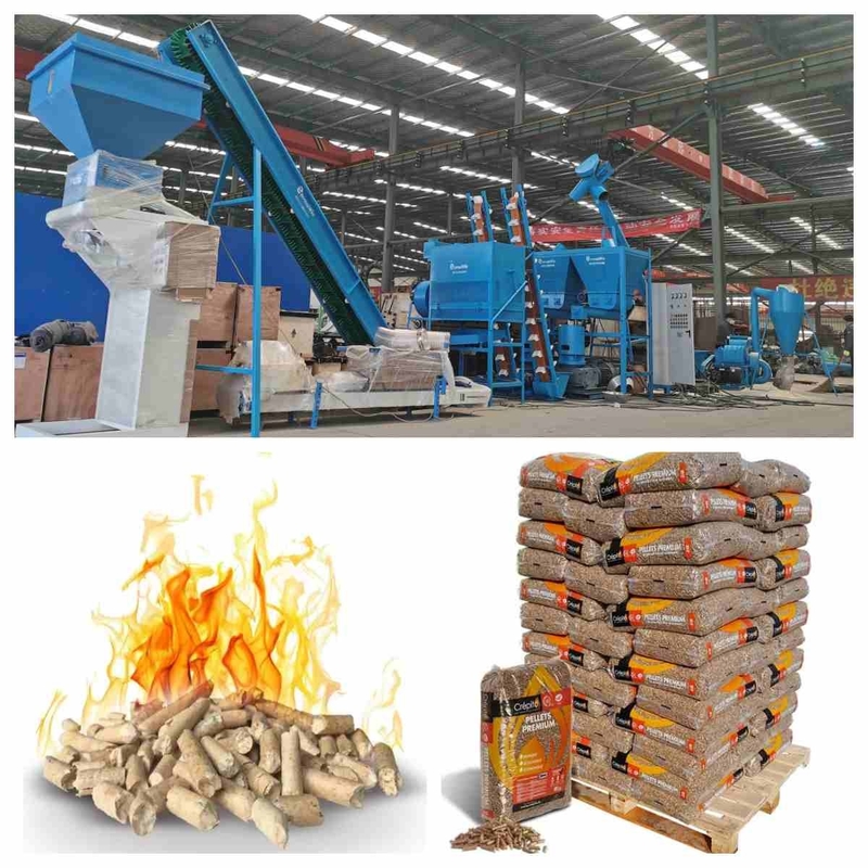 Pleine machine en bois automatique d'extrudeuse de granule de l'équipement de production de granule 800-1000kg/H