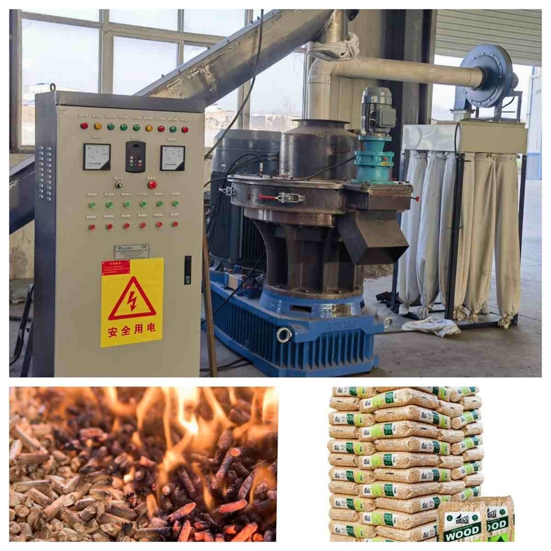 chaîne de production de granule de biomasse de 2-3tph Ring Die Pellet Machine Whole avec du CE