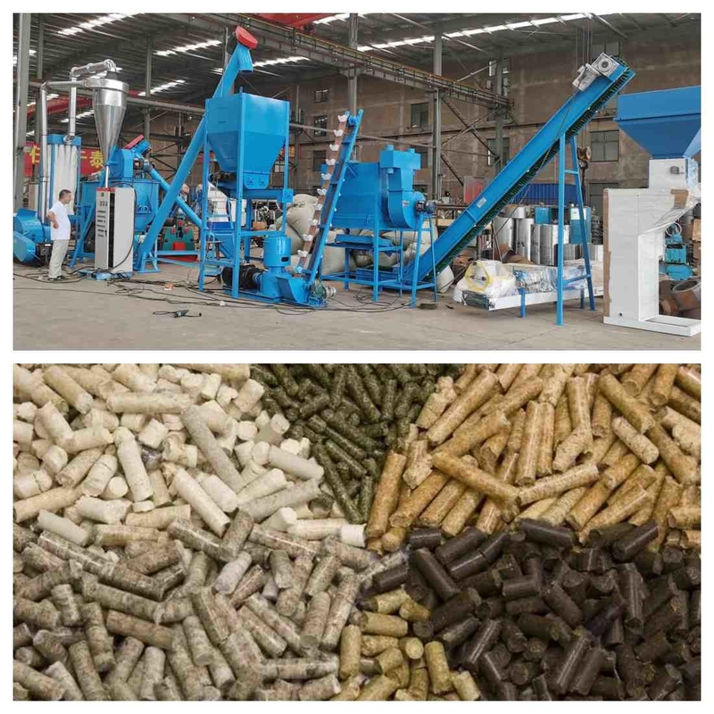 chaîne de production de granule de l'alimentation des animaux 1000kg/H granulatoire de granule d'alimentation de 1-12mm