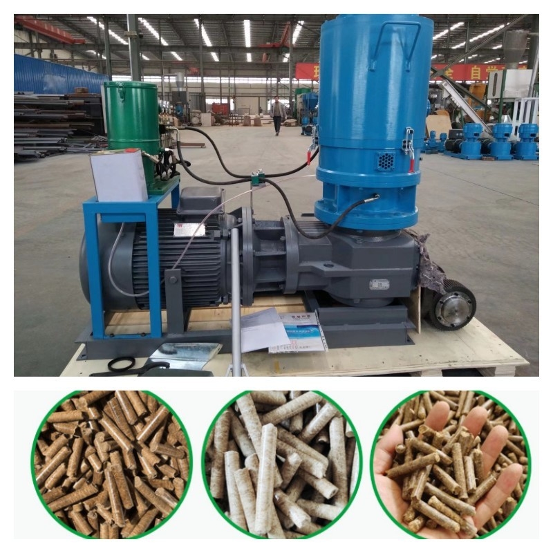 Bois en bois Chip Pellet Machine High Density de biomasse de moulin de granule de matrice de l'appartement 500KG/H