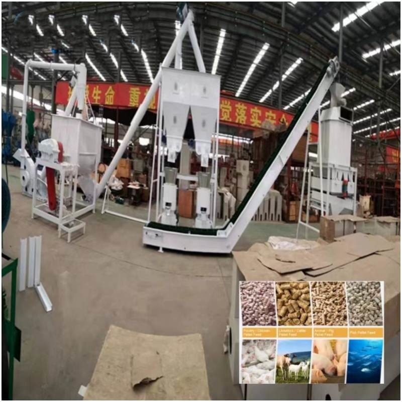 La chaîne de production de granule d'alimentation de ferme bétail complets de 20ton/H alimentent faire la machine