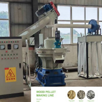 chaîne de production de granule de la biomasse 55kw 800-1000kg/H Ring Die Pellet Production Line
