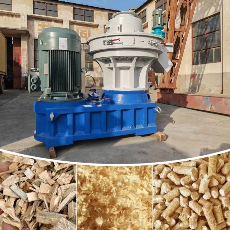 moulin de granule de 1~3t/H Ring Die Biomass Fuel Wood avec des granules de 8mm pour le chauffage domestique