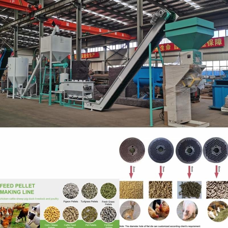 1 granule d'herbe de Ton Livestock Animal Feed Machinery faisant le blé de maïs de machine