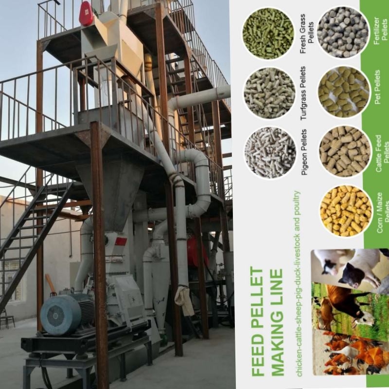 1-5 machine horizontale de Ring Die Chicken Feed Manufacturing de moulin de granule de Tons/H