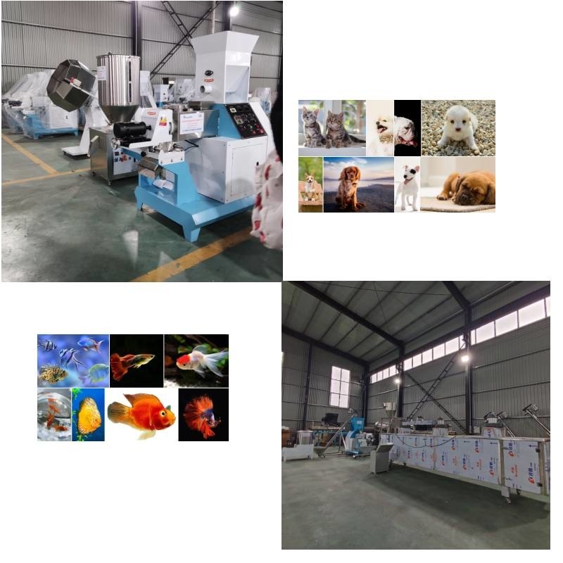 Chaîne de production de soufflage d'alimentation automatique d'extrudeuse 50 kg/h heures à 5000 kg/h heures