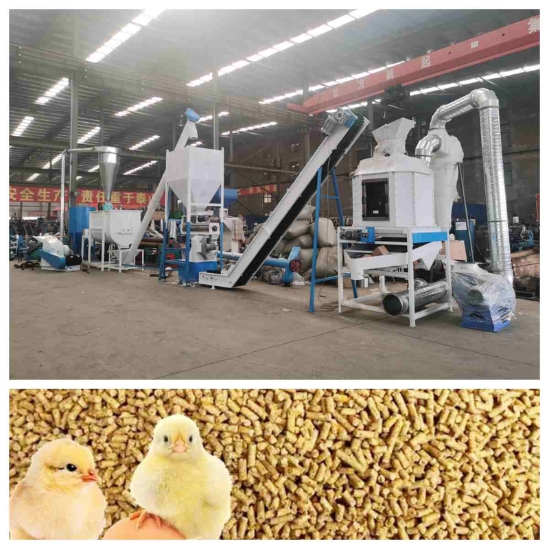 Chaîne de production de granule d'alimentation de la CE 5t/H Ring Die Feed Pellet Machine avec le générateur de vapeur