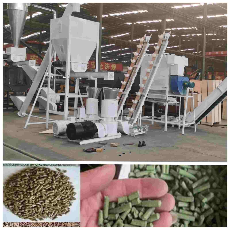 granule automatique de la machine 2.5mm de granule de la volaille 2ton/H faisant la machine pour l'alimentation de volaille