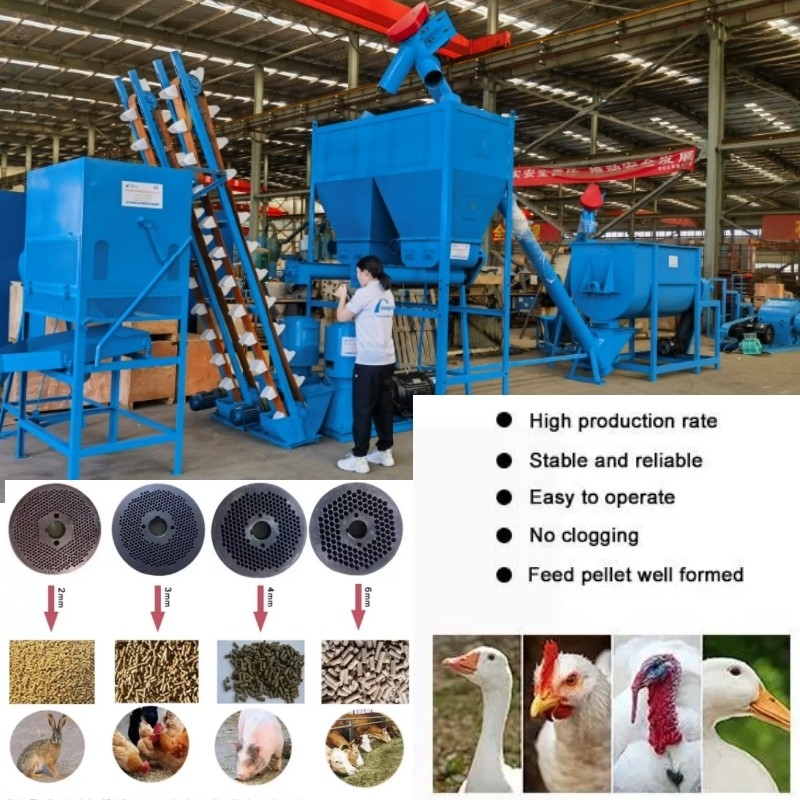 Les moutons horizontaux alimentent la machine de granule de vache à la machine 1,5 Tons/H de granule pour l'alimentation de bétail