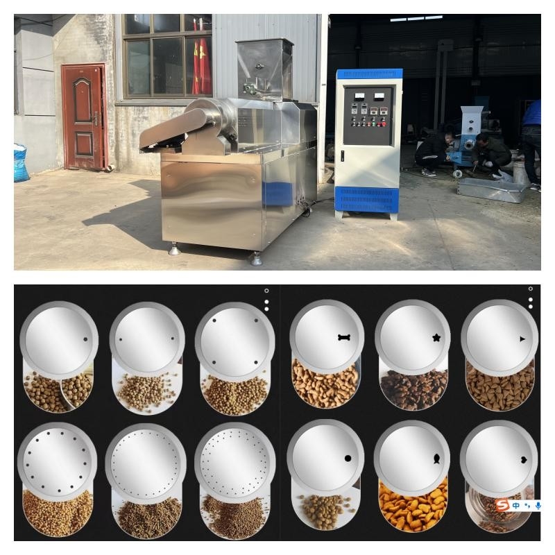 Ligne sèche sèche de production alimentaire d'animal familier de l'extrudeuse 55kw d'alimentation de poissons d'acier inoxydable