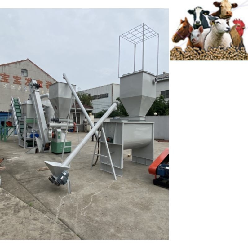 la chaîne de production de granule de l'alimentation des animaux 500kg/H Ring Die Poultry Feed Pellet fraisent l'alimentation des animaux