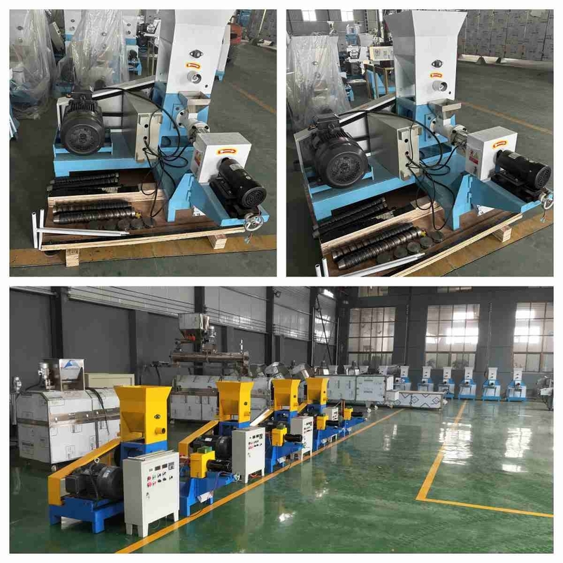 presse à vis de flottement de machine de granule d'alimentation d'animal familier de machine d'extrudeuse d'alimentation du Tilapia 100-200kg/H