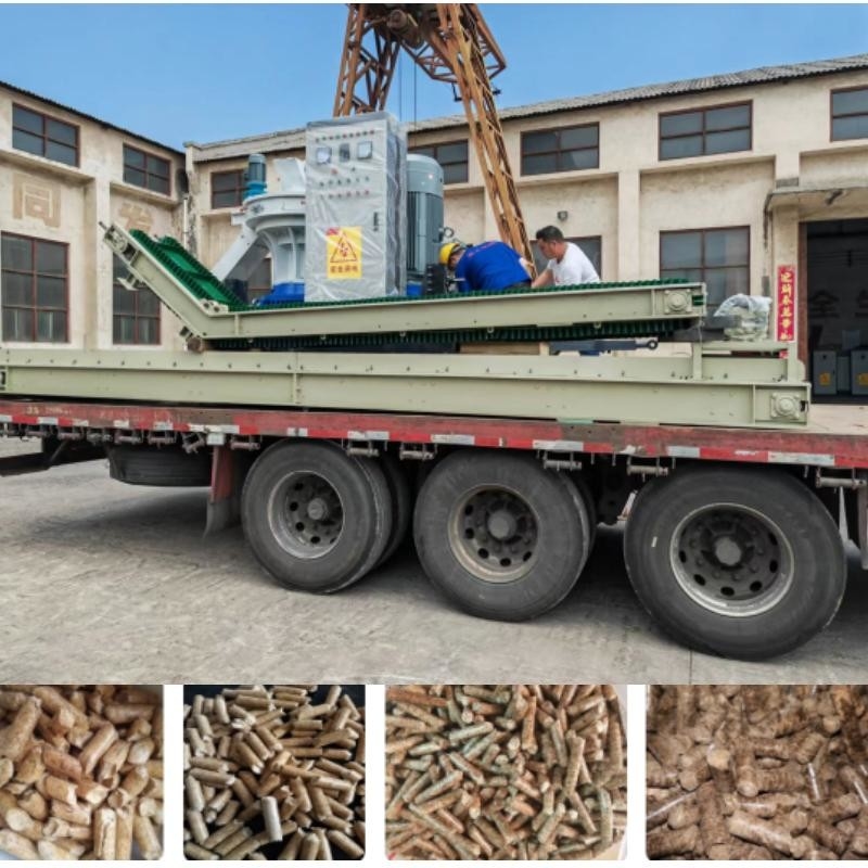 Chaîne de production de granule de biomasse de la CE grande machine en bois de moulin de granule de biomasse de rondin