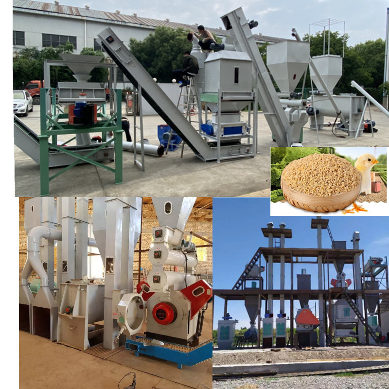 Ligne de production de granulés d'alimentation à haut rendement