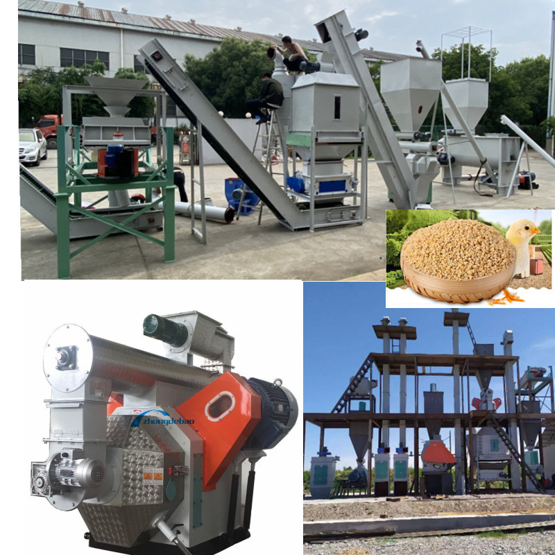 Ligne de production de granulés d'alimentation à haut rendement