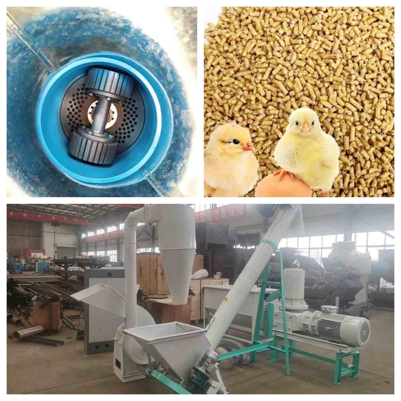L'appartement meurent chaîne de production de granule d'alimentation des animaux du fabricant 300kg/H -1000Kg/H de granule d'alimentation petite