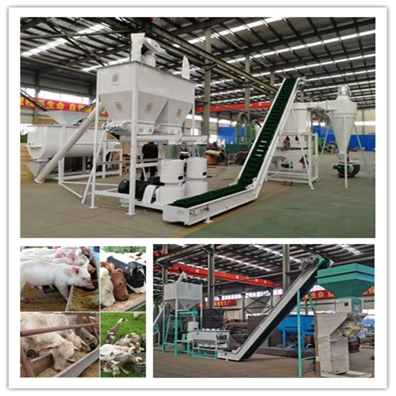 0.5-30 tonnes/h ligne de production de granulés pour aliments pour animaux avec moulin à granulés à anneaux