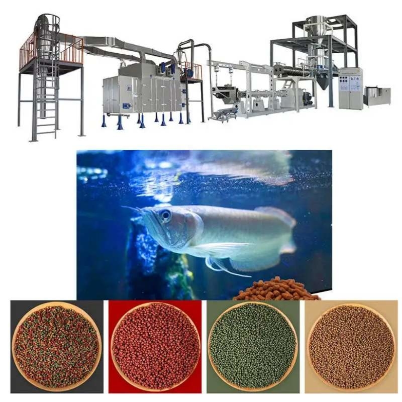 45-50 kg/h Machine d'extrusion flottante pour aliments pour poissons Ligne de production flottante pour aliments pour poissons en acier inoxydable