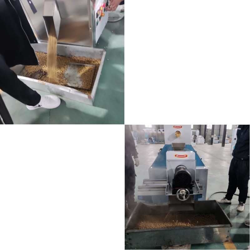 Extrudeuse automatique de nourriture pour poissons de type sec