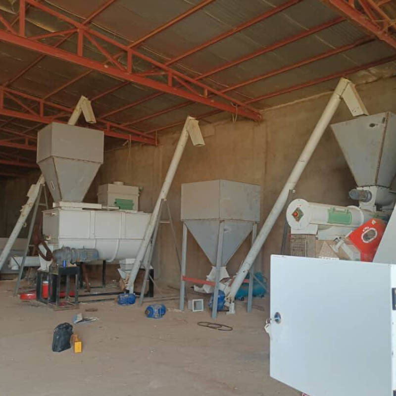 1-5 tonnes par heure Capacité de production de granulés pour animaux de compagnie