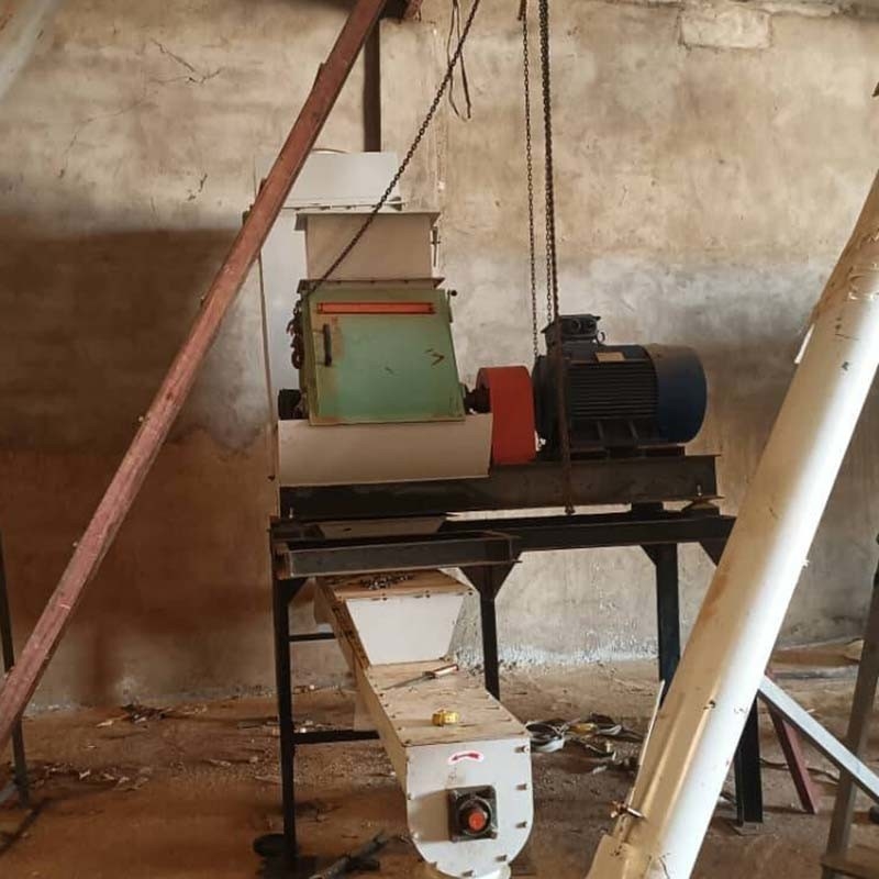Ligne de production d'aliments pour animaux de 1 à 12 mm, taille de granulés finale, avec une teneur en humidité ≤ 20%