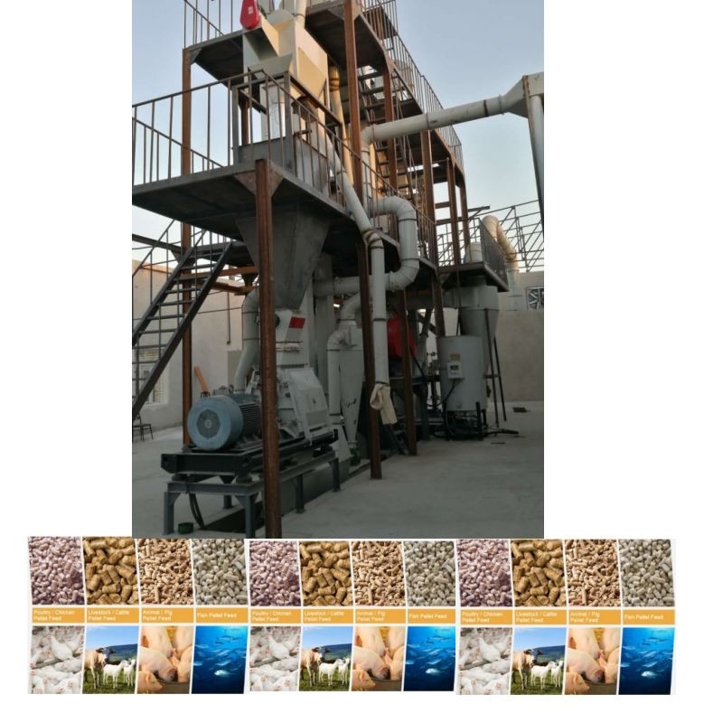 Ligne de production de granulés d'aliments pour animaux de 1 à 12 mm