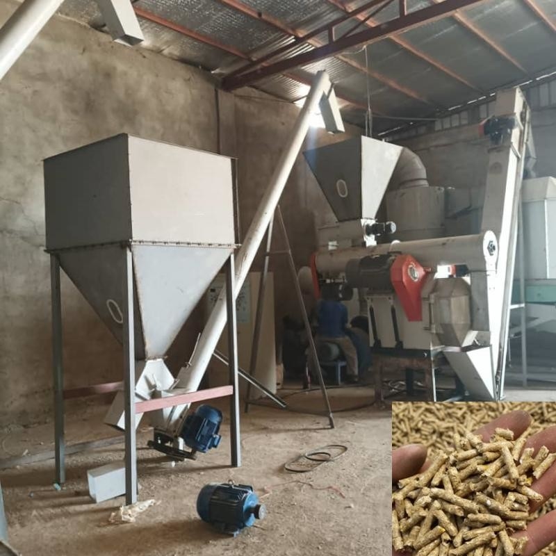 Ligne de production de granulés pour aliments pour animaux de compagnie