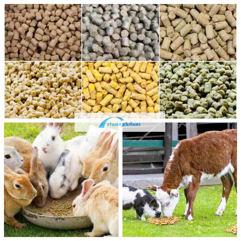 600-800 KG/h de sortie de la pêche usine d'alimentation animale pour chiens et chats équipement de pellets alimentaires extrudeuse pelletizer machine