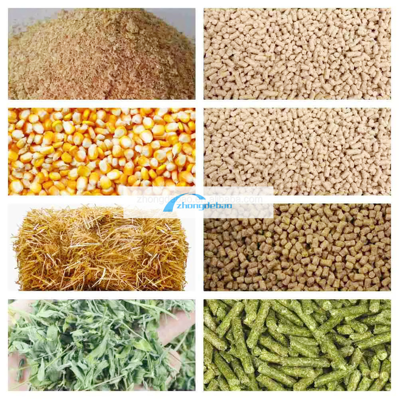 600-800 KG/h de sortie de la pêche usine d'alimentation animale pour chiens et chats équipement de pellets alimentaires extrudeuse pelletizer machine