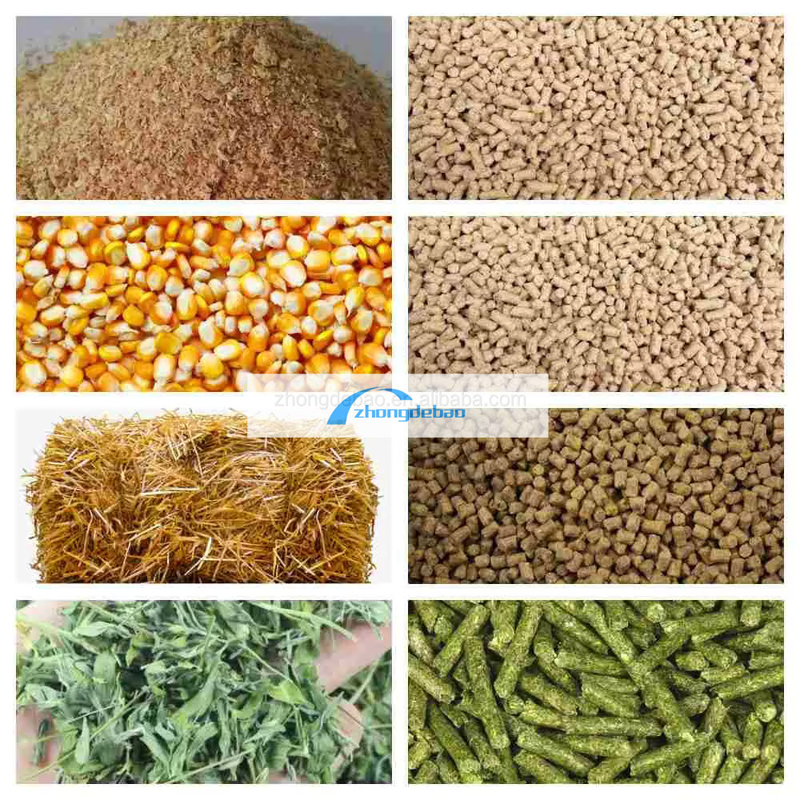 300-400 KG/H machine à granulés pour aliments pour animaux de compagnie à haute productivité