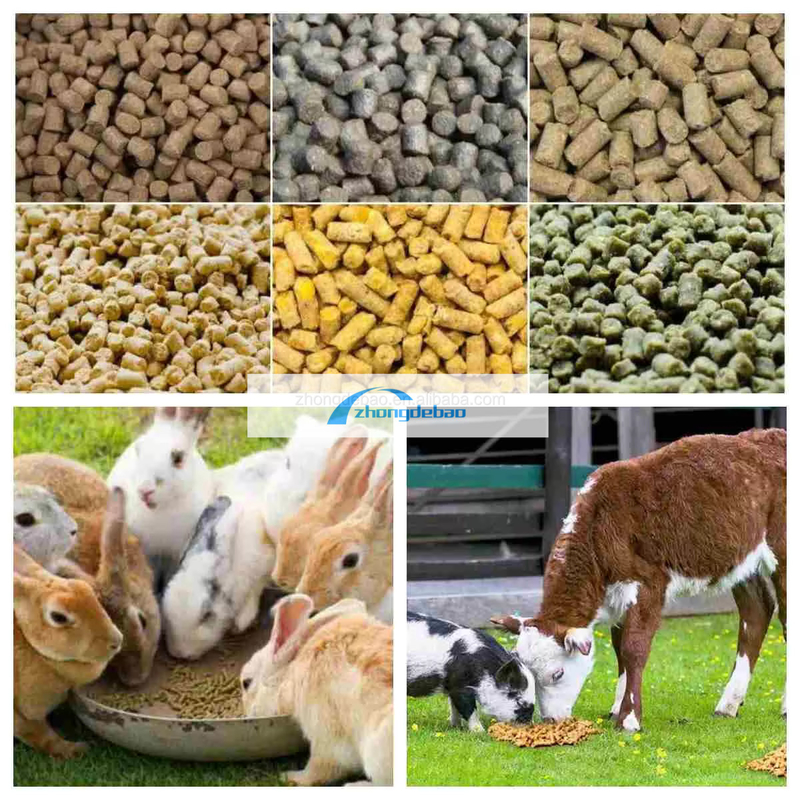300-400 KG/H machine à granulés pour aliments pour animaux de compagnie à haute productivité