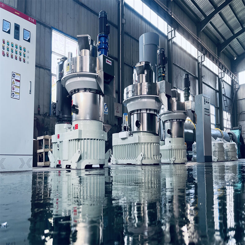 Moulin à granulés de bois à anneau à haute efficacité pour la production de granulés de combustible de biomasse