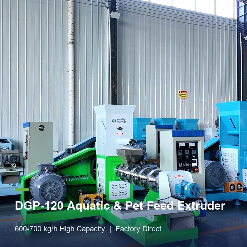 Ligne d'extrusion d'aliments pour l'aquaculture DGP120 Machine à pellets de crevettes pour les poissons pour usine commerciale d'aliments pour animaux avec une production stable