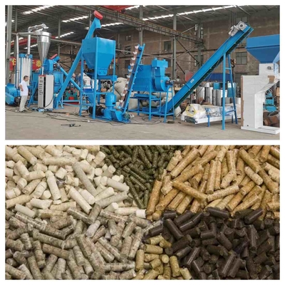 chaîne de production de granule de l'alimentation des animaux 1000kg/H granulatoire de granule d'alimentation de 1-12mm