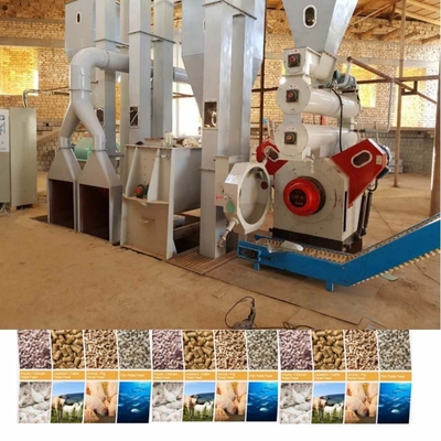 Ligne de transformation de granulés pour animaux de compagnie