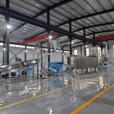 Extrudeuse à double vis humide de 500 kg/h